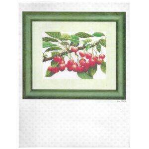 Borduurpakket kersen